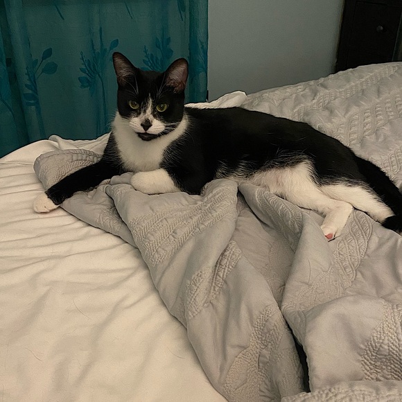 Meet your Posher, Pat - Picture 2 of 2